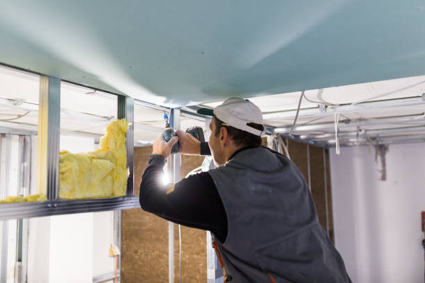 Best Insulation Installation Services in Linden, CA